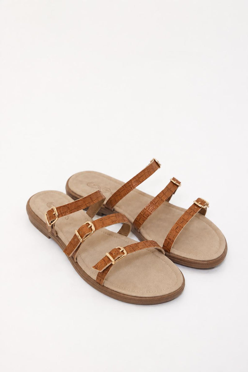 חום ספידה בהירה